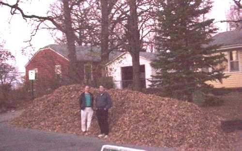 Leaf Pile 1999