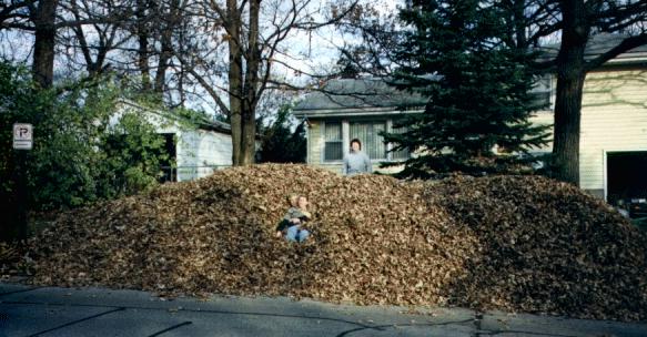 Leaf Pile 2000